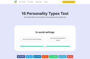 BPT 16 personality test result